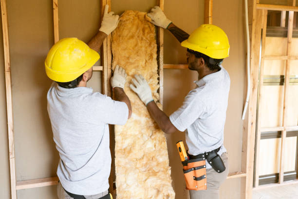 Garage Insulation Installation in Tallahassee, FL